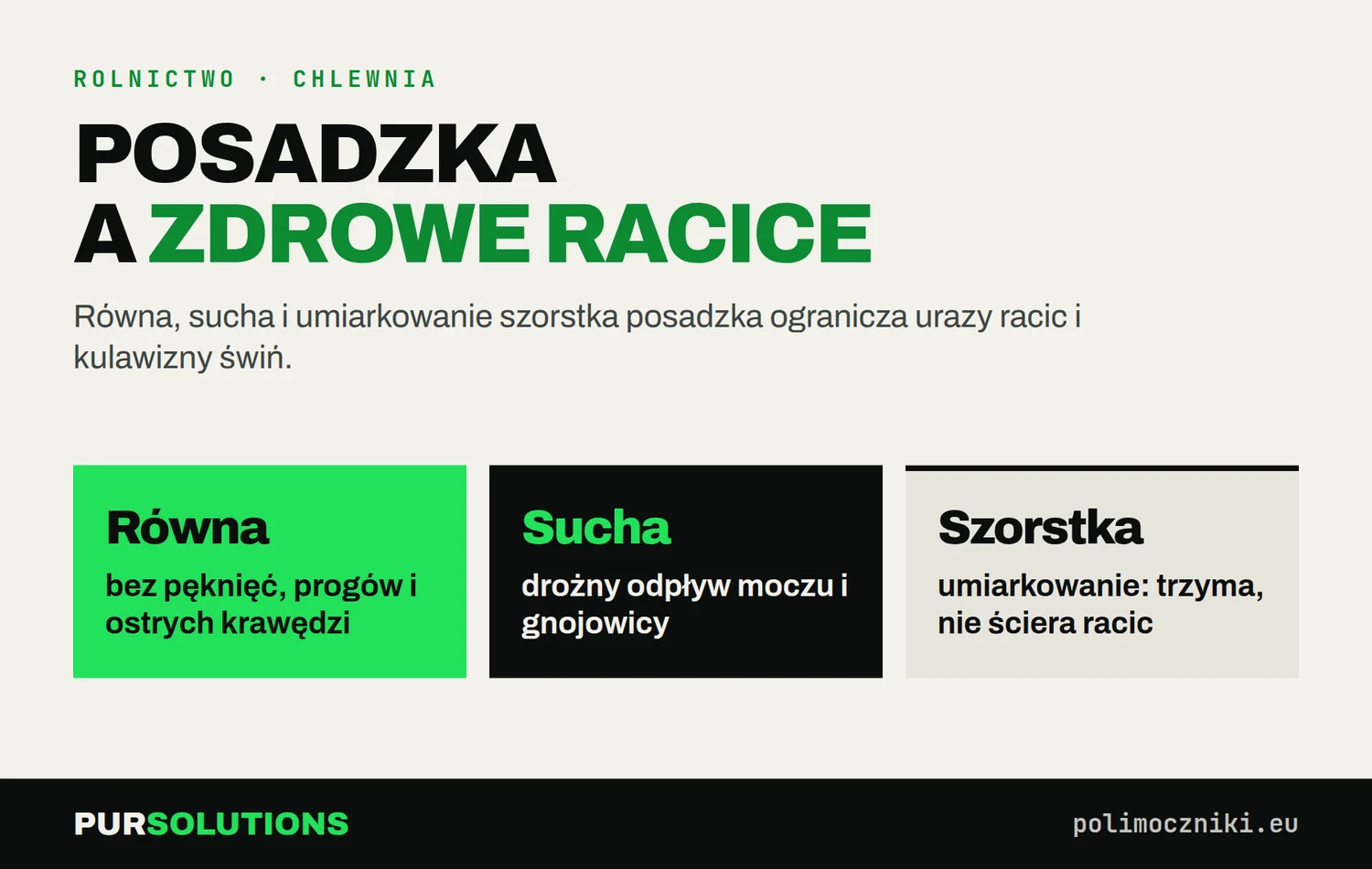 Trzy cechy posadzki w chlewni chroniące racice: równa, sucha i umiarkowanie szorstka