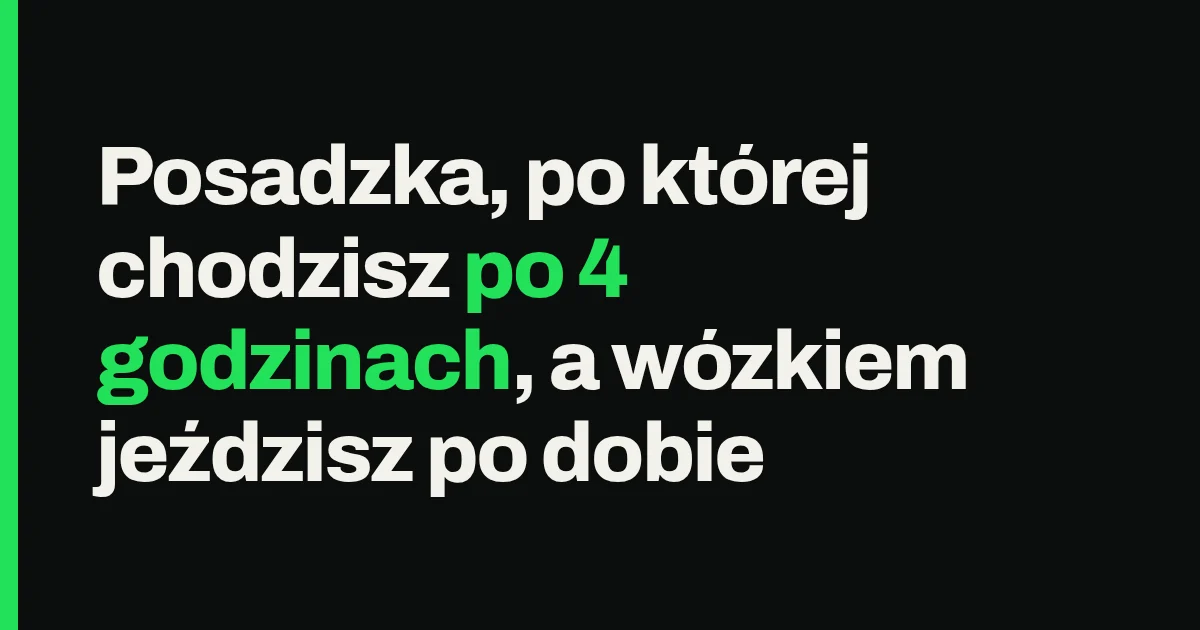 Posadzka, po której chodzisz po 4 godzinach, a wózkiem jeździsz po dobie