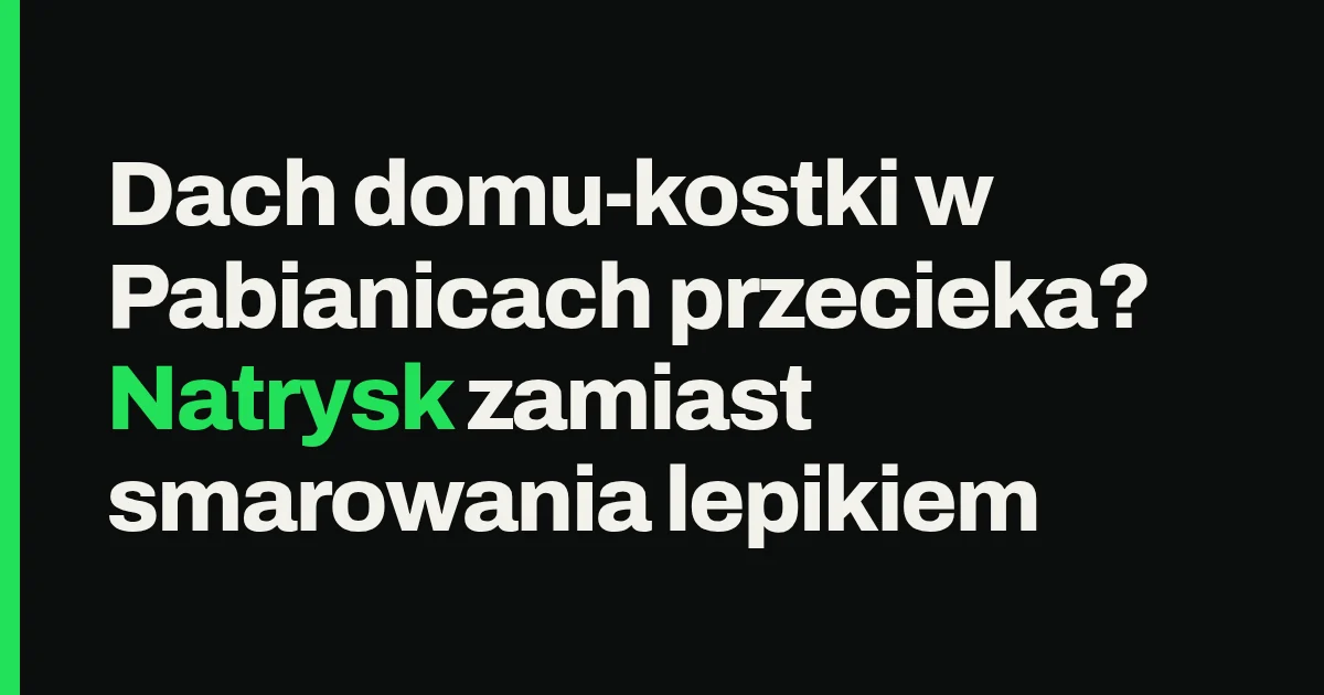Dach domu-kostki w Pabianicach przecieka? Natrysk zamiast smarowania lepikiem