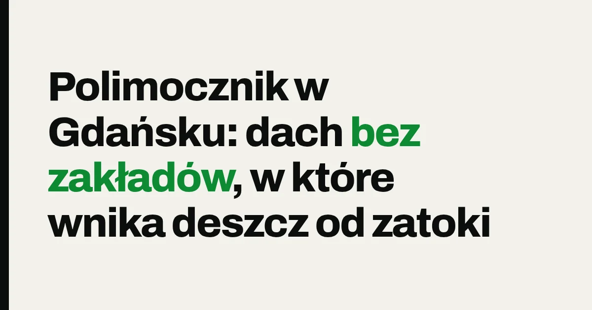 Polimocznik w Gdańsku: dach bez zakładów, w które wnika deszcz od zatoki