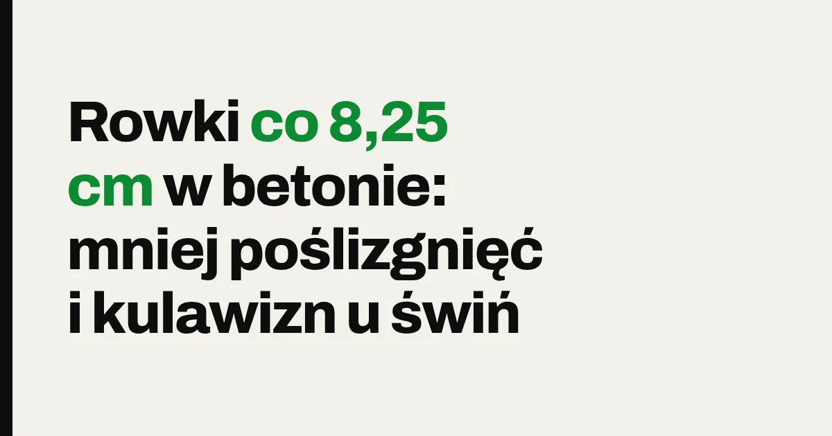 Rowki co 8,25 cm w betonie: mniej poślizgnięć i kulawizn u świń