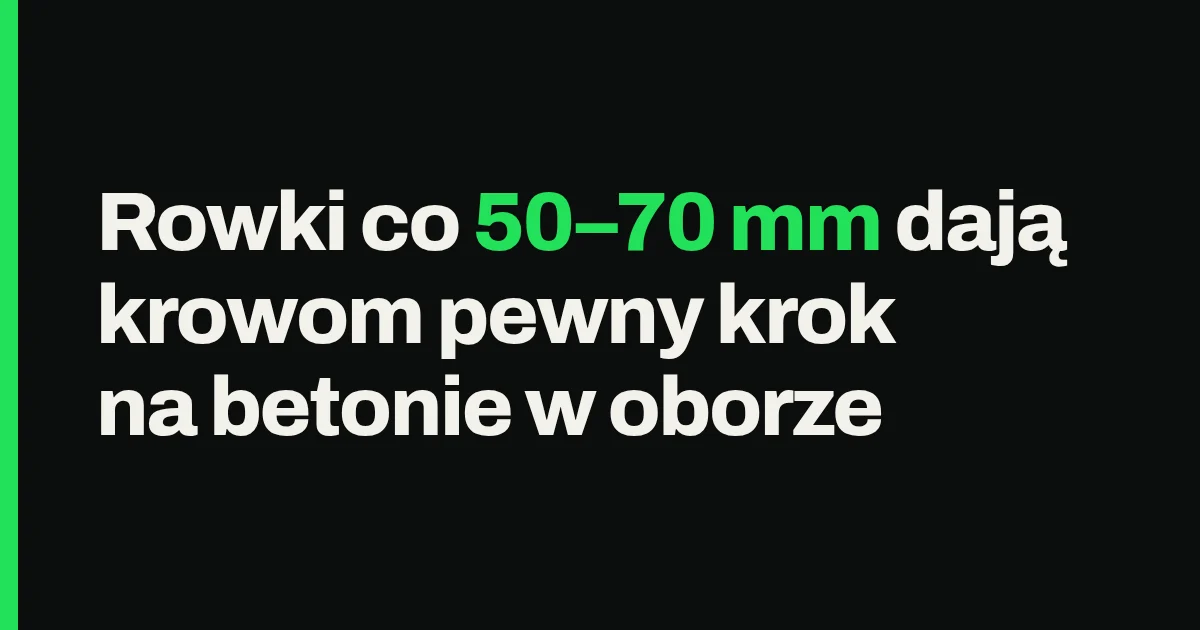 Rowki co 50–70 mm dają krowom pewny krok na betonie w oborze
