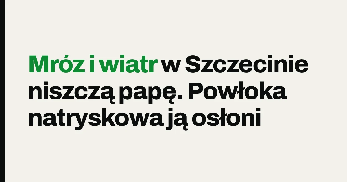 Mróz i wiatr w Szczecinie niszczą papę. Powłoka natryskowa ją osłoni